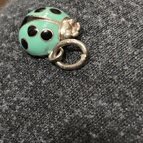 Authentic Tiffany & Co Signature Tiffany Blue Lady Bug Charm 925 - Picture 2 of 5